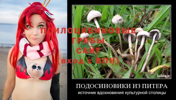 СК Абаза
