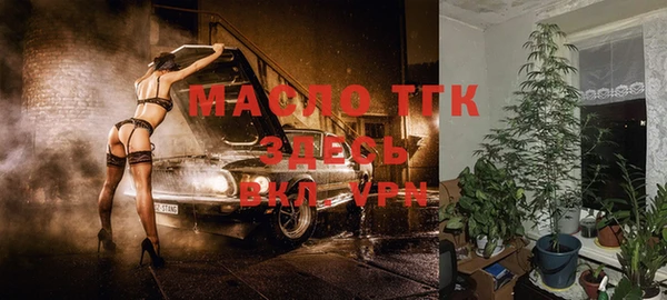 сатива Туринск