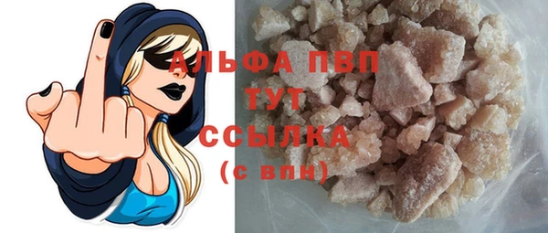 сатива Туринск
