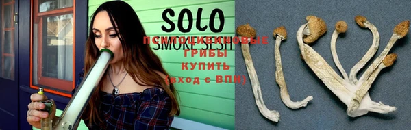 СК Абаза
