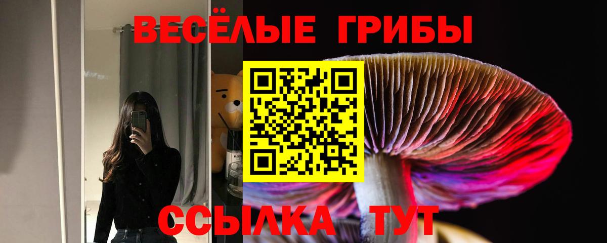 Галлюциногенные грибы Psilocybe Ханты-Мансийск